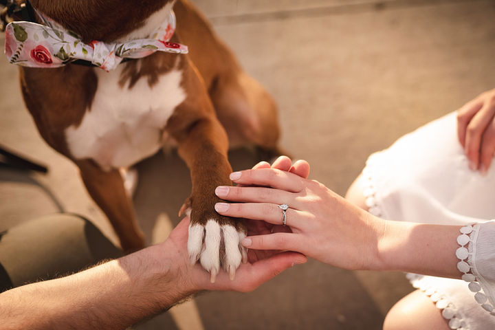 Telluride Colorado Engagement Photographer