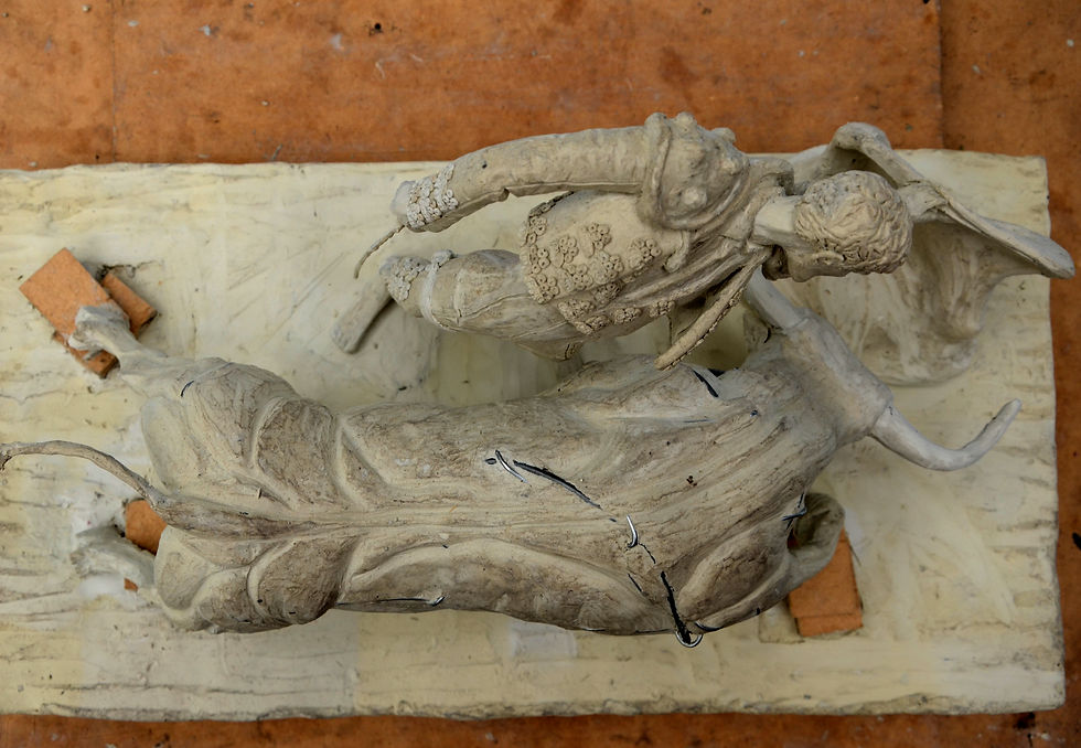 José Tomás I. "Natural"