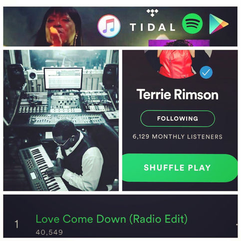 A Produced Record By D.Rim hits 40k Streams on Spotify after one week (Love Come Down - Terrie Rimso