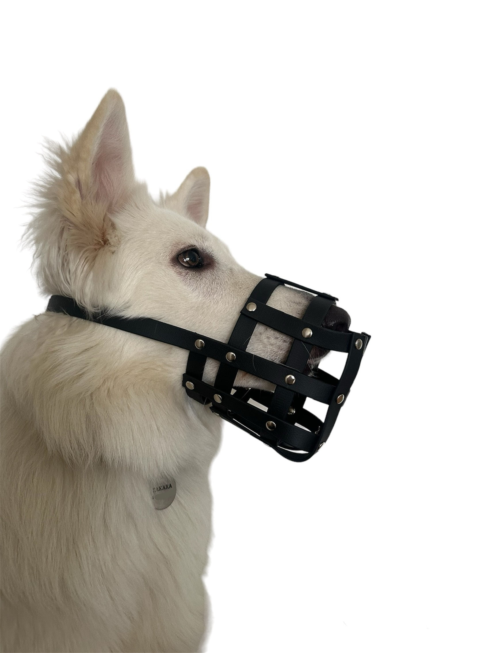 Muselières - Biothane