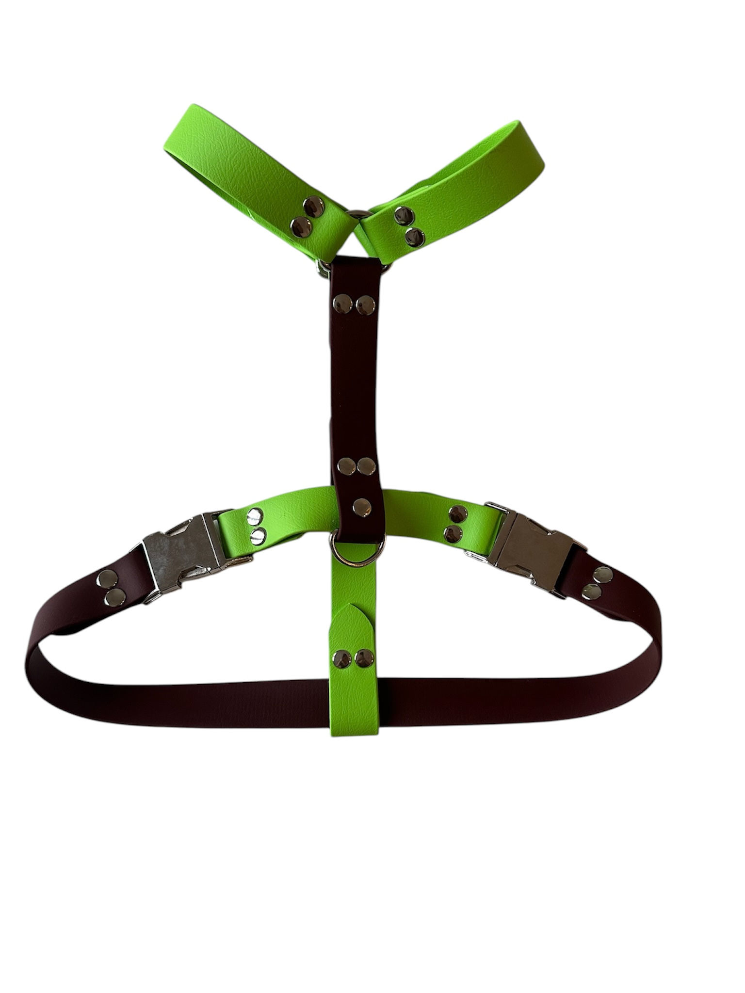 Harnais Boucle Clip - Biothane