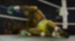 The Boxer (Down but not Out)