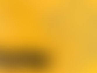 Brasil em liquidação. País é lançado aos interesses particulares no governo de Bolsonaro