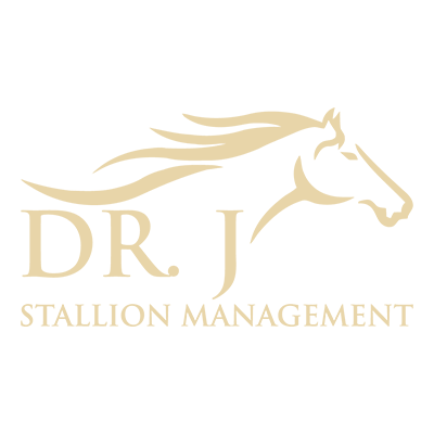Dr J Stallion Management.png