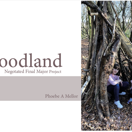 Pecha Kucha Presentations