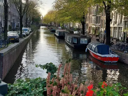 I don't know where to start