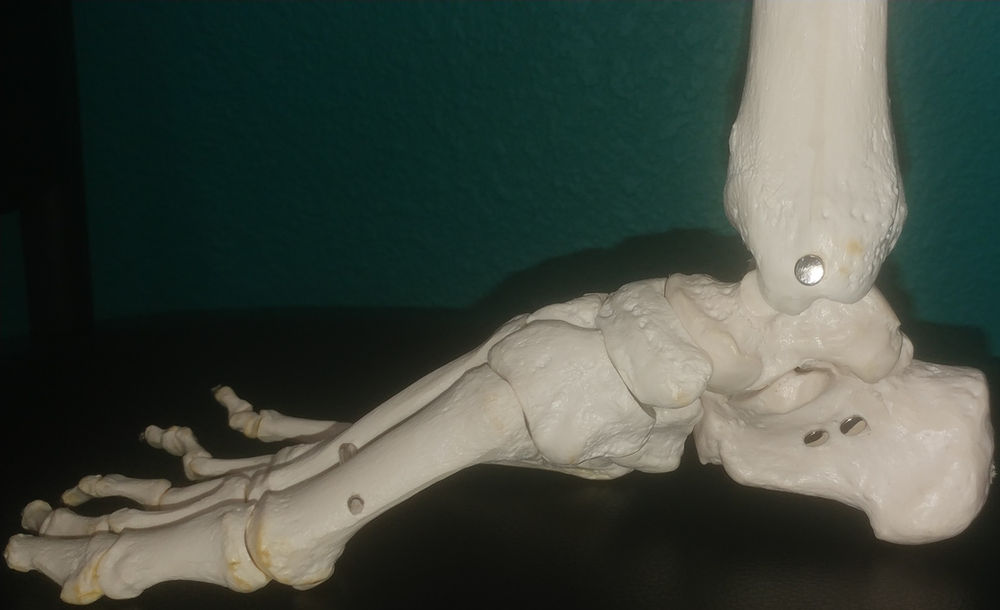 What is Pronation and Supination?