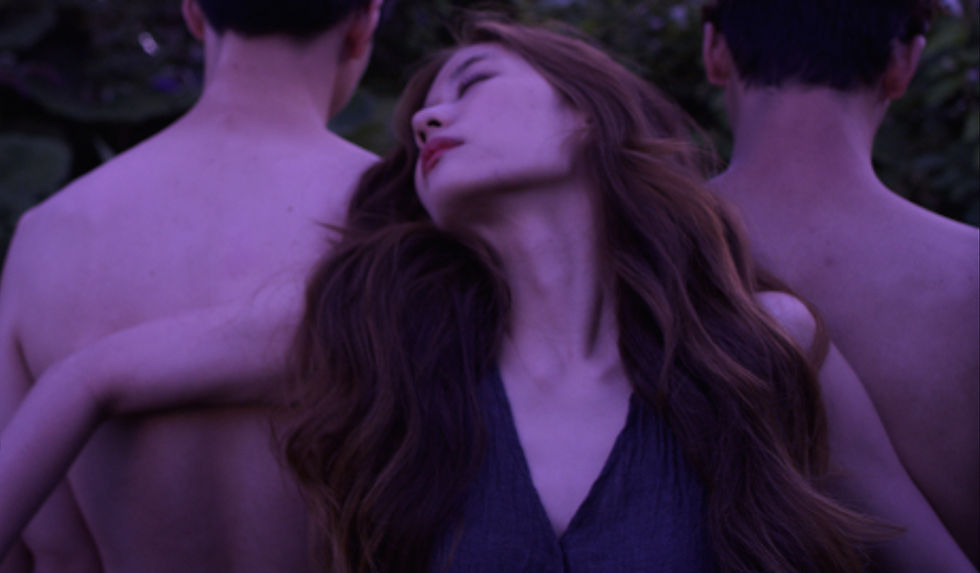 Thumbnail: $1000 DONOR - WE ARE DIAMONDS