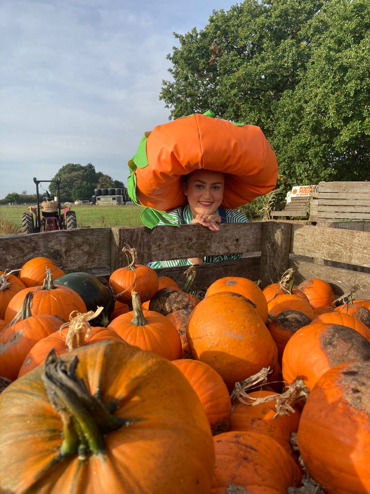 Grange Farm Lowton, Warrington - Pumpkin Festival - Grange Farm Lowton, Warrington - Pumpkin Festival - stilt walkers peeking over pumpkin trailor