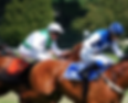 Newmarket Races The Mill B&B Suffolk