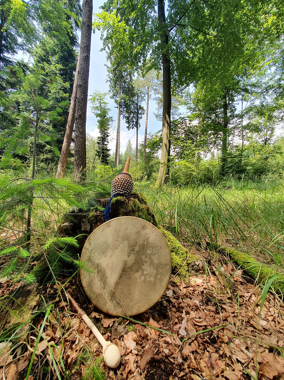Schamanismus erklärt