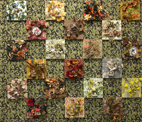 This is an installation that is presented as a solo show of the Flora and Fauxna Assemblages. The exhibit is composed of sculptural use of ceramic birds, wall-paper and fabric to create an immersive room experience.