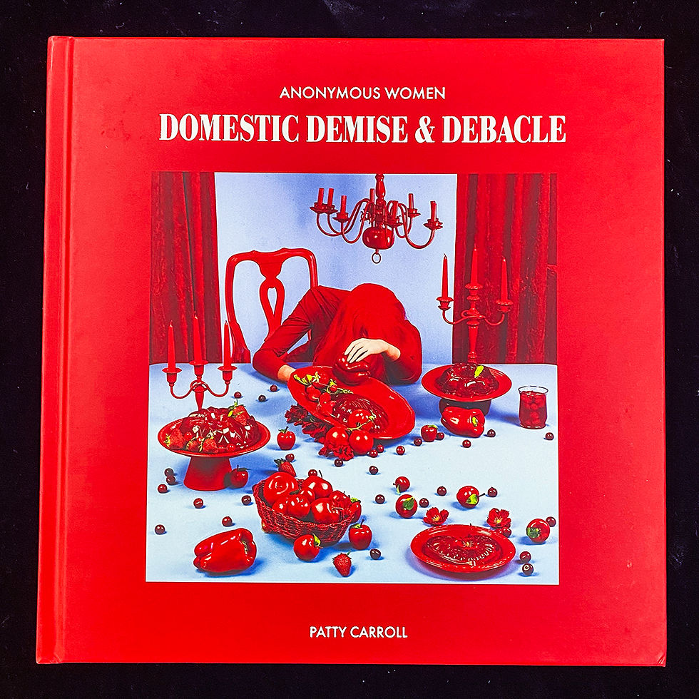 Domestic Demise and Debacle Book