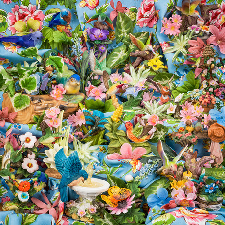 Doris's Hummingbirds