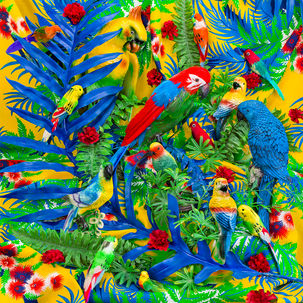 Blue Parrot