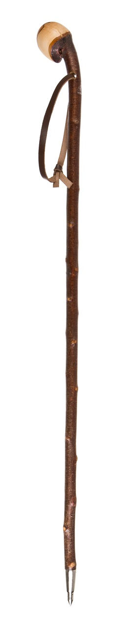 Thumbnail: Blackthorn Knob Stick