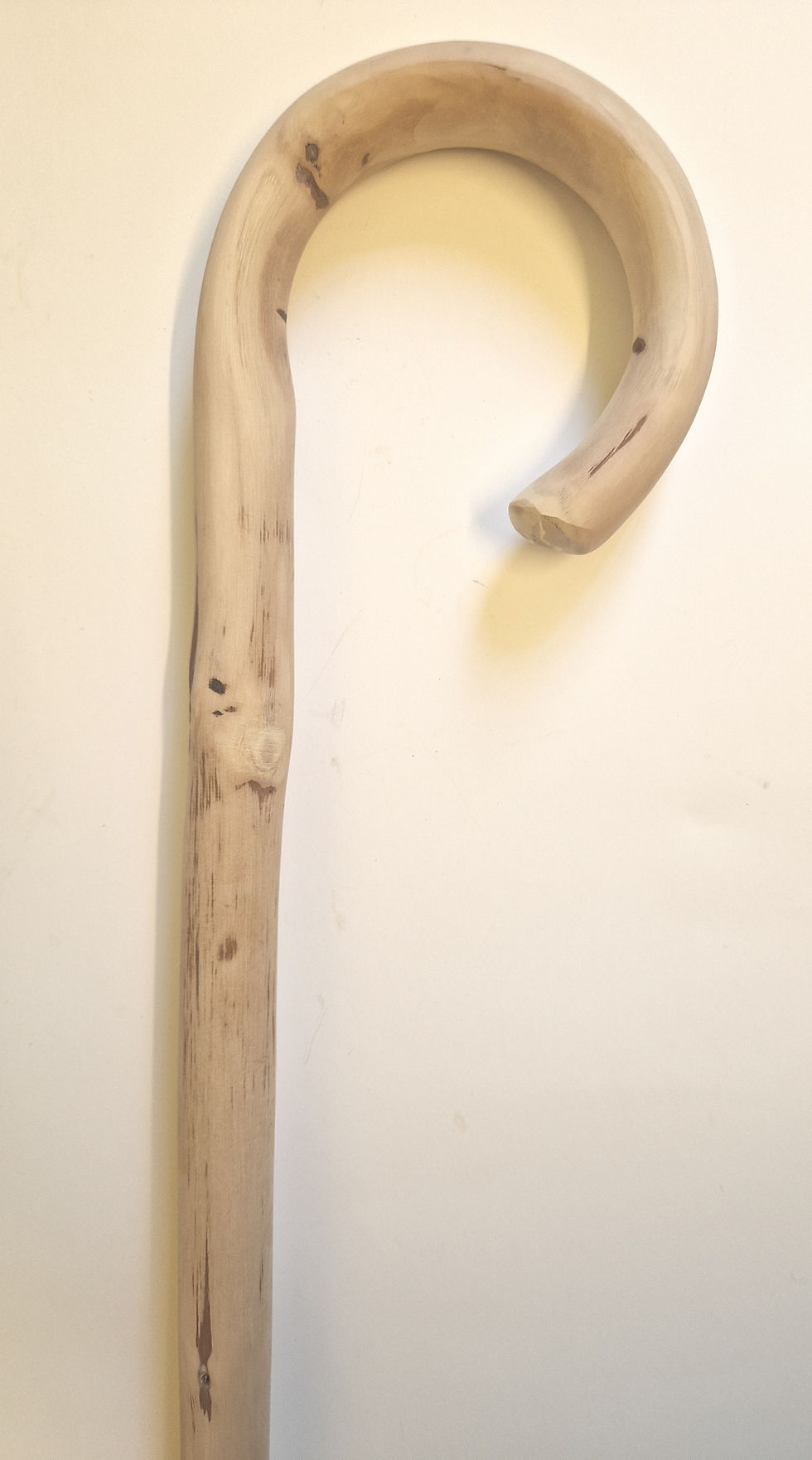 Thumbnail: NHS Style Crook Handle Walking Sticks £7.25 ex. VAT