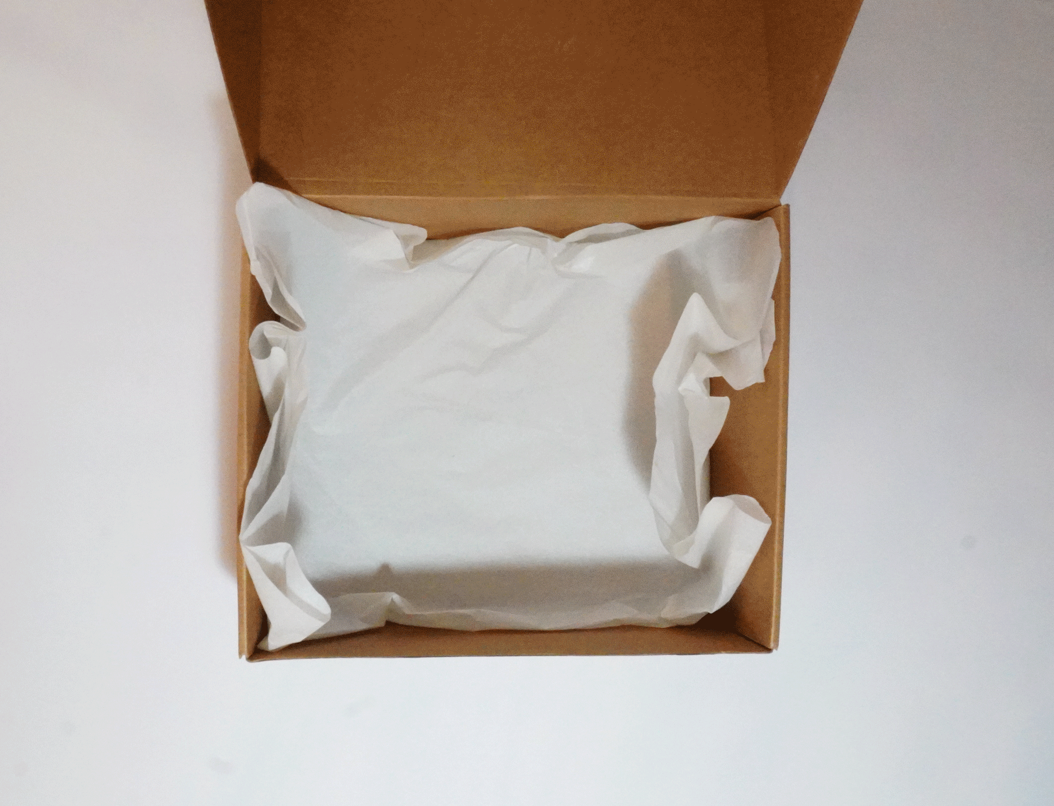 DSC0357387.gif