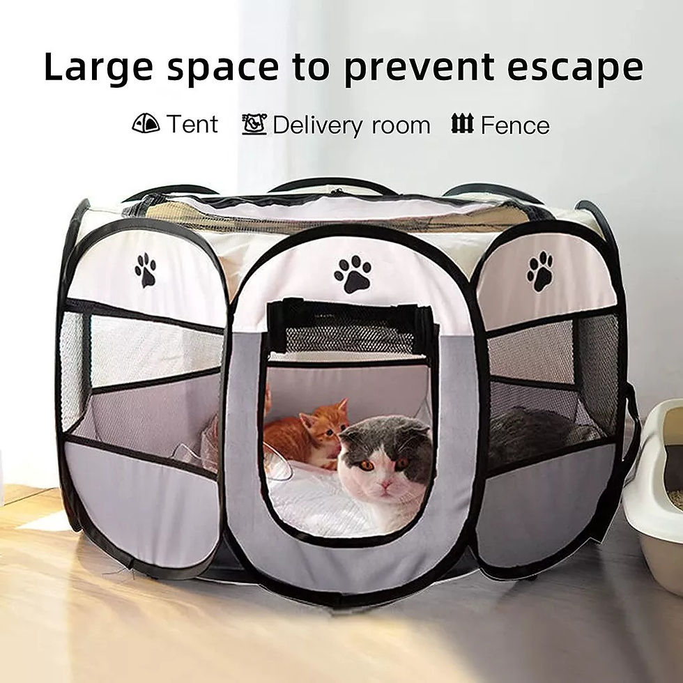 Thumbnail: Portable Foldable Cat/Dog Tent Cat/Dog House Portable Folding Outdoor Travel Pet