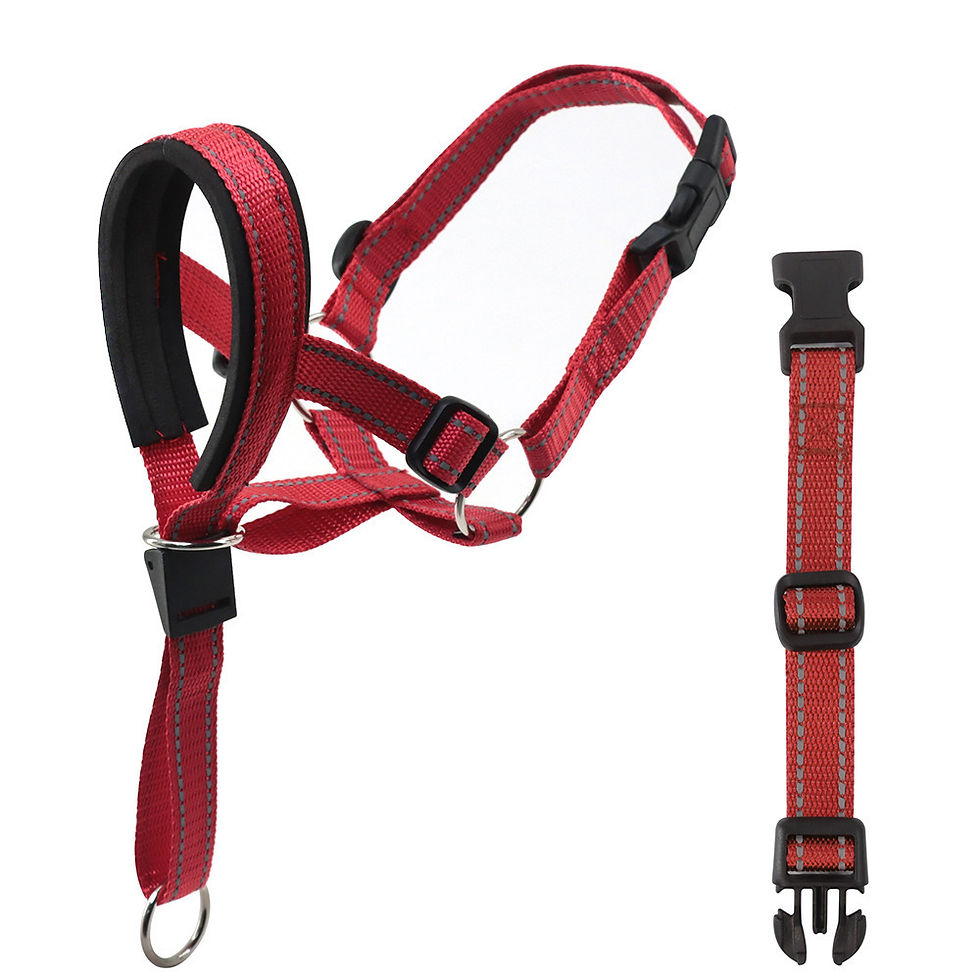 Thumbnail: Quick-release Dog Muzzle for Dog Head Halter Muzzle with Safety Strap Anti-bitin