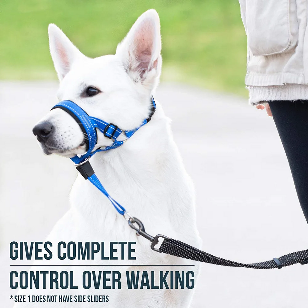 Thumbnail: Quick-release Dog Muzzle for Dog Head Halter Muzzle with Safety Strap Anti-bitin