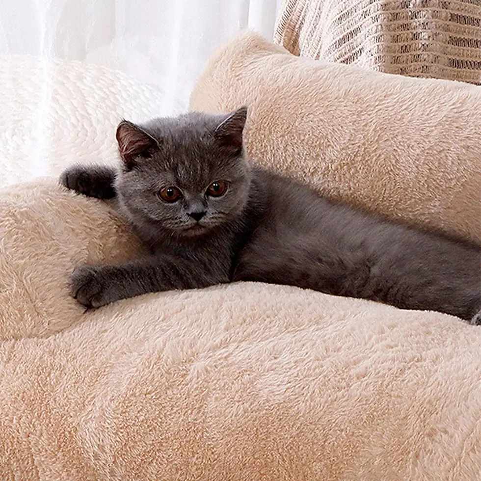 Thumbnail: Cat Bed Sofa Winter Warm Foam Neck Pad Nest Beds Pet Deep Sleeping Bed For Small