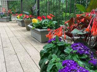 Sleep, Creep and Leap