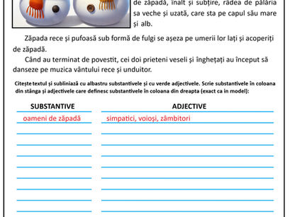 Substantive si adjective
