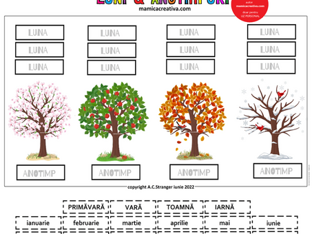 Anul si impartirea lui