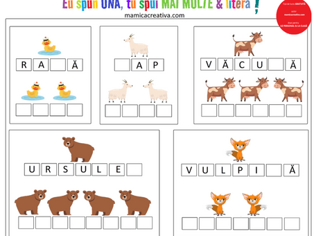 Singular si plural