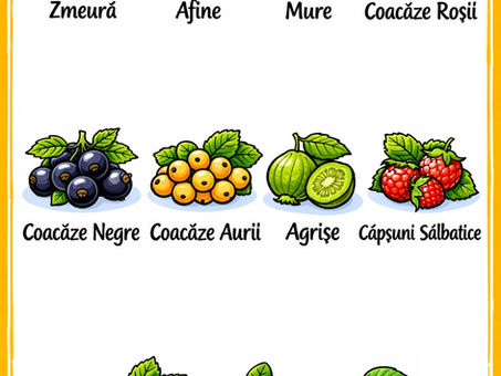 Legume și fructe