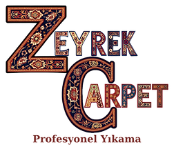 Profesyonel Yıkama logo_edited.png