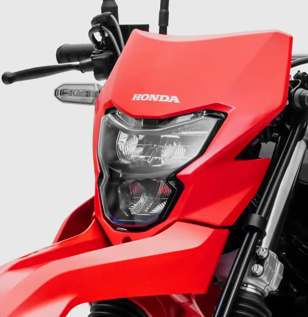 Miniatura: HONDA XR TORNADO 300cc