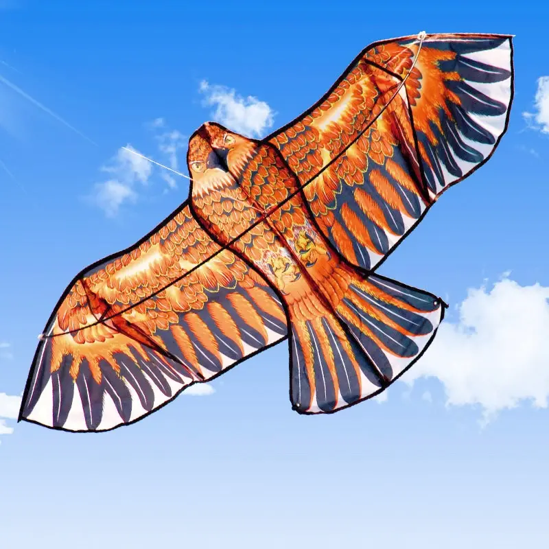 Flat Eagle Kite Big Fly Bird Kite Flying Bird Kites Outdoor