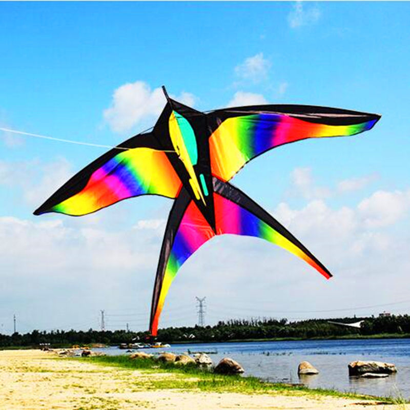 large rainbow kites bird kites