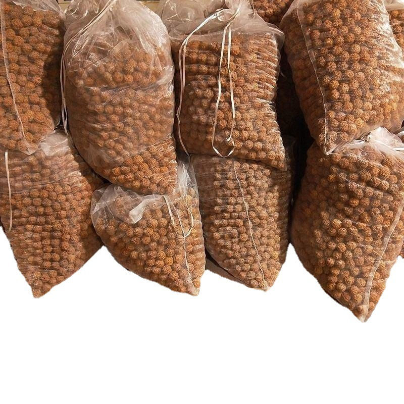 Nepal Corpulent Big Rudraksha Currency 5 Five Faces Men's Bracelet Seed Scatter