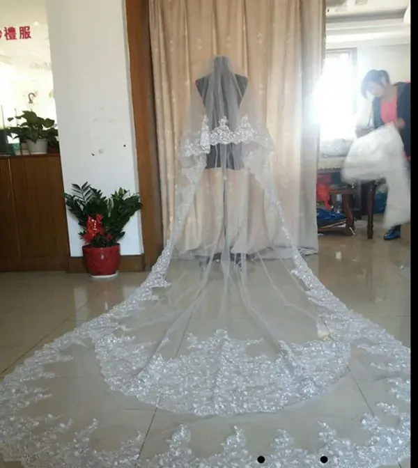 Luxury Real Image Bridal Veils Wedding Veil Three Meters Long Veil