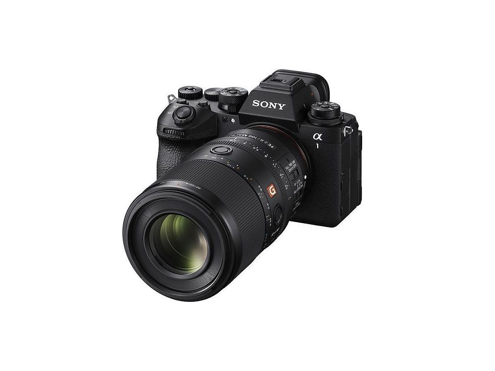 Miniaturbild: Sony E-Mount FF 100mm F2.8 GM Macro OSS