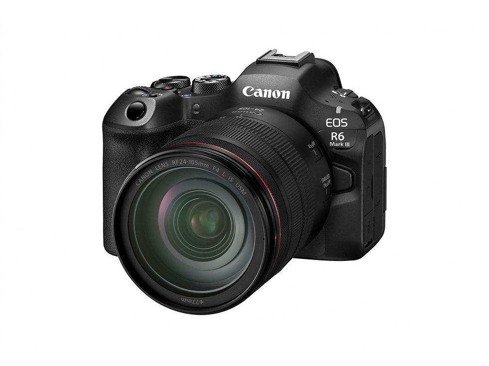 Miniatura: Canon EOS R6 Mark III + 24-105 4L IS USM