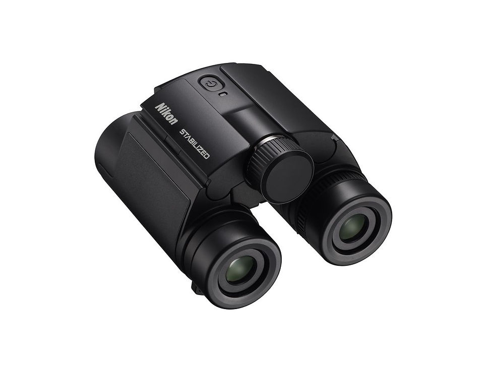 Miniatura: Nikon Fernglas Stabilized 12x25 S