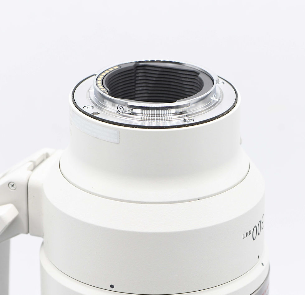 Miniatura: Sony E 300mm F/2.8 GM OSS