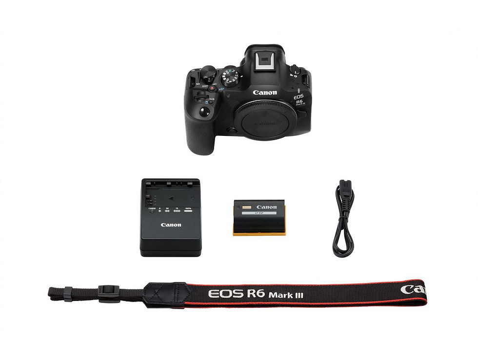 Miniatura: Canon EOS R6 Mark III Body