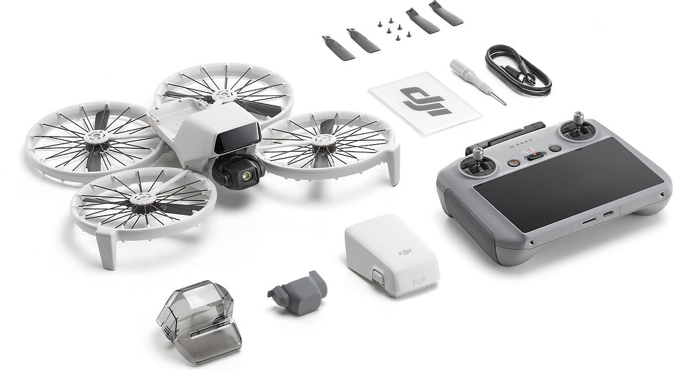 Miniatura: DJI Flip ( RC 2)