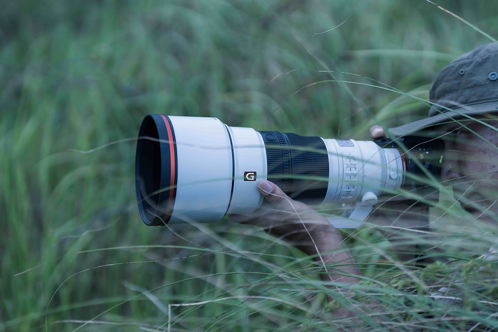 Thumbnail: Sony E-Mount FF 300mm GM F2.8 OSS