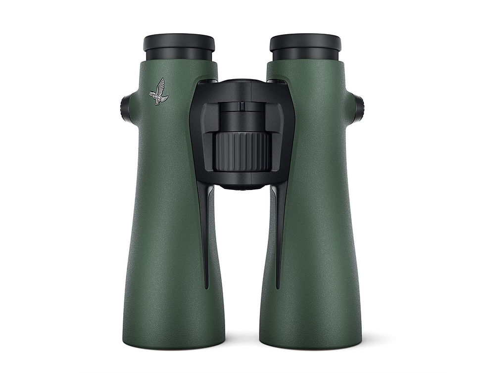 Miniatura: Swarovski NL Pure 14x52