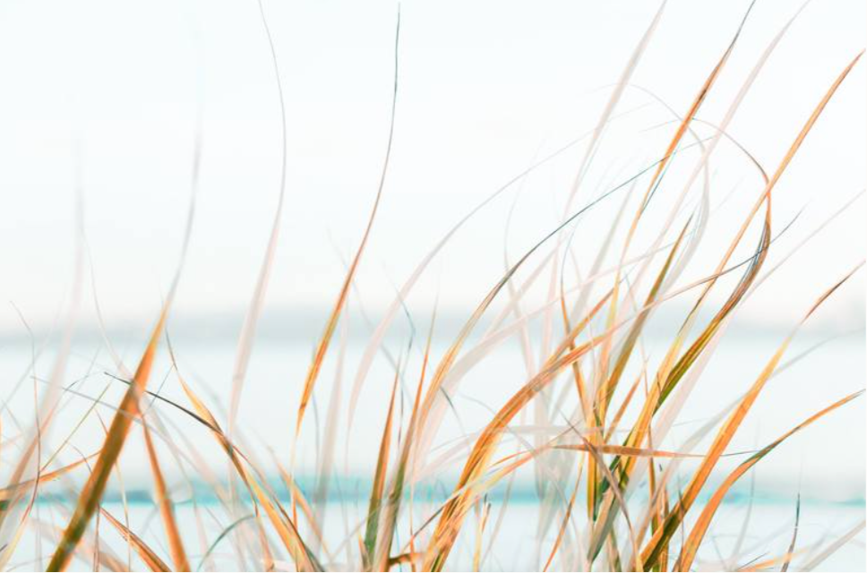 Ondulations | photographie impressionniste ©photoArtStudio29
