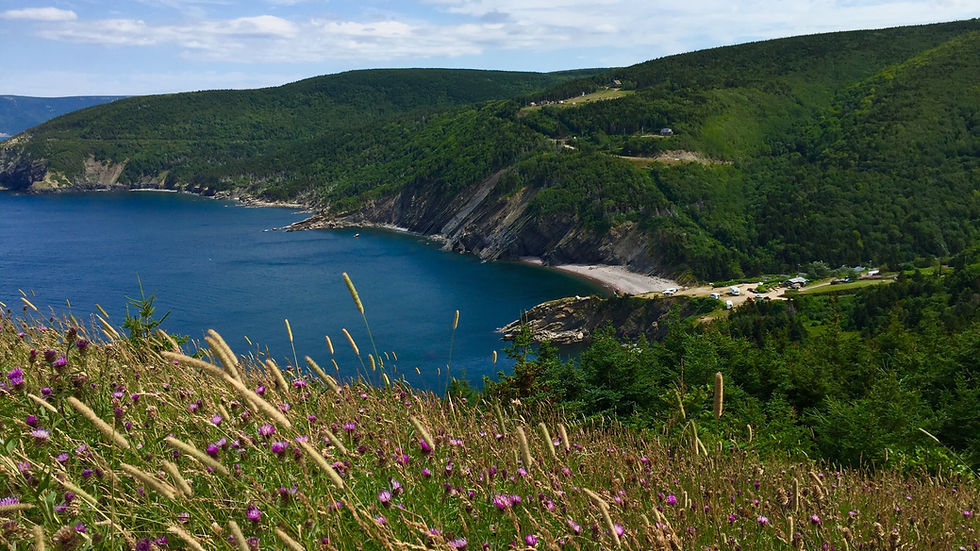 Vue panoramique d'une baie entourée de collines verdoyantes. Fleurs violettes au premier plan, ciel partiellement nuageux. Atmosphère paisible.