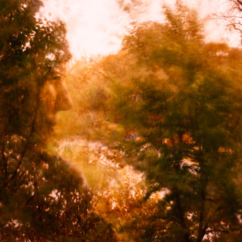Portrait de femme en double exposition sur fond naturel paysage d'automne. Photographe Candiac, rive-sud, Montérégie - Photo ArtStudio29
