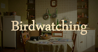 Screen Shot 2023-05-17 at 12.12.59 AM.png