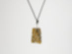 Petrified Wood Pendant